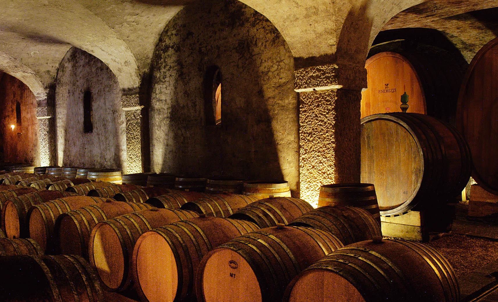 s._michele_-_trento_-_cantina_endrizzi_02